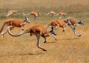 Lanjutan Part 2, Rekomendasi 20 Kota Terindah di Australia, Negeri Kanguru Ini Sobat Wajib Kunjunginya^^
