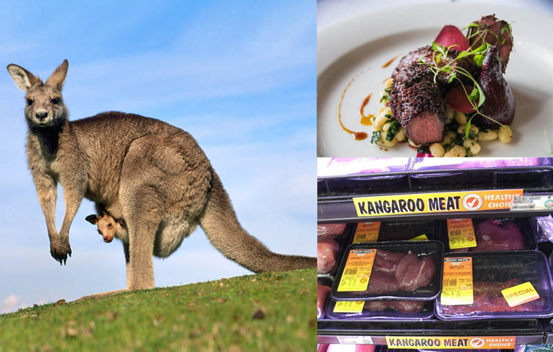 TOP 11 Makanan Khas Australia, Negeri Kanguru Ini, Enaknya Kebangetan Lho Guys!