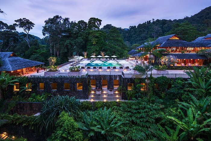 Rekomendasi 10 Hotel di Tengah Hutan, Daebak banget Lho Guys~~ Keren Pokoknya