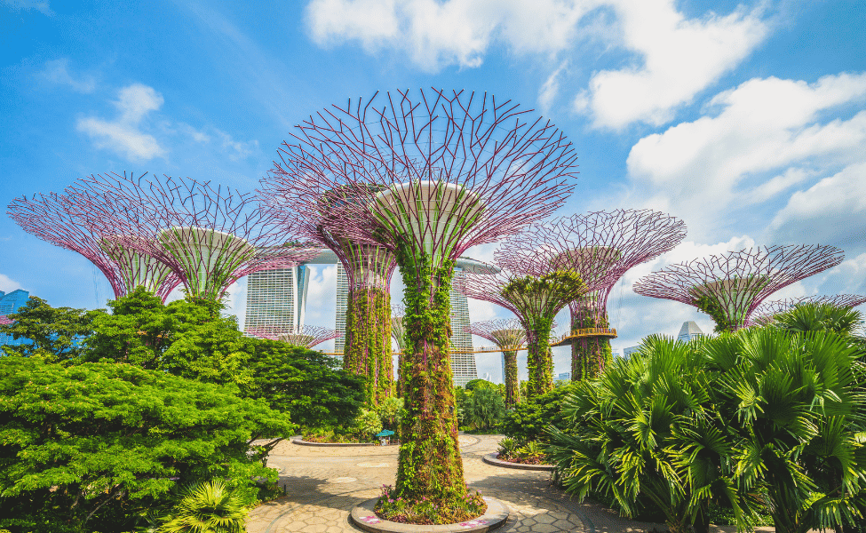 9 Wisata Alam di Singapura, Cocok untuk Pecinta Petualangan!